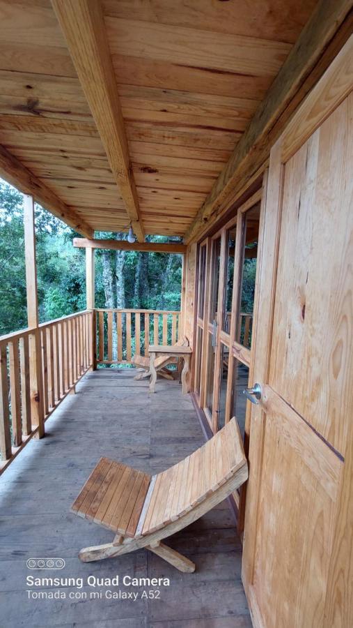 Cabana En El Bosque De San Jose Del Pacifico Eksteriør billede