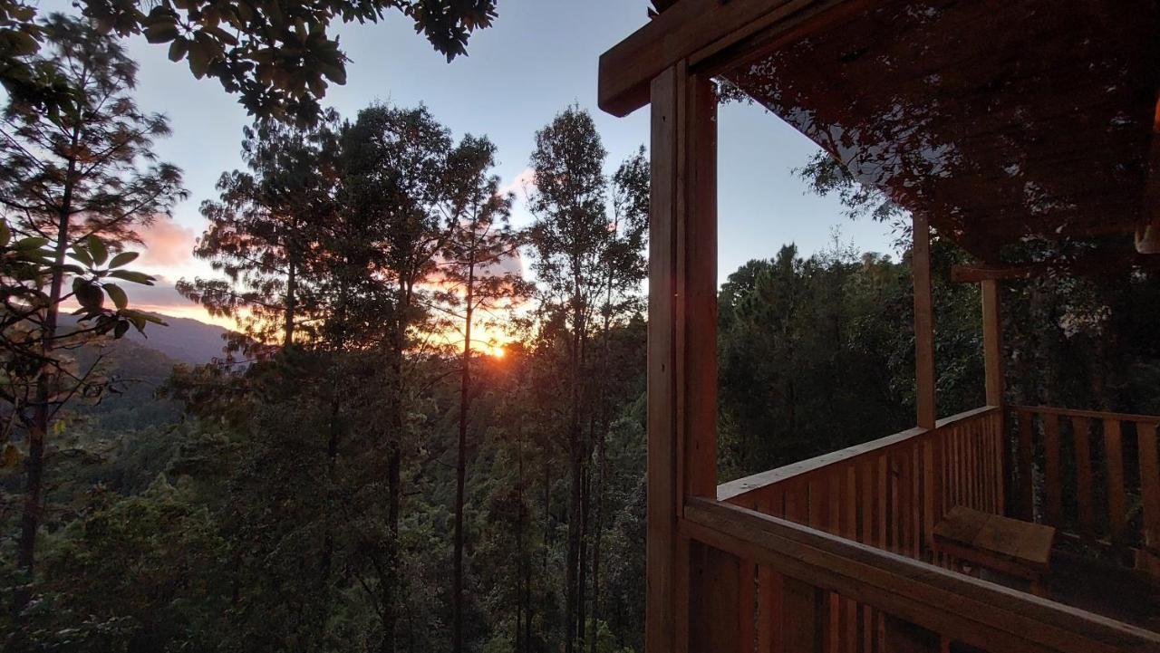 Cabana En El Bosque De San Jose Del Pacifico Eksteriør billede